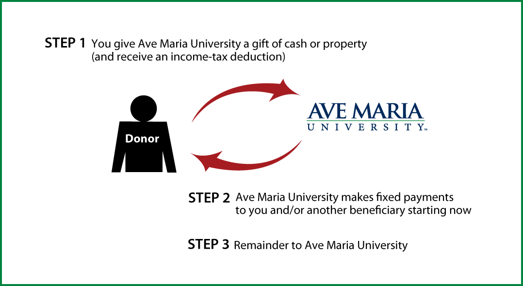 Immediate-Payment Charitable Gift Annuity Thumbnail