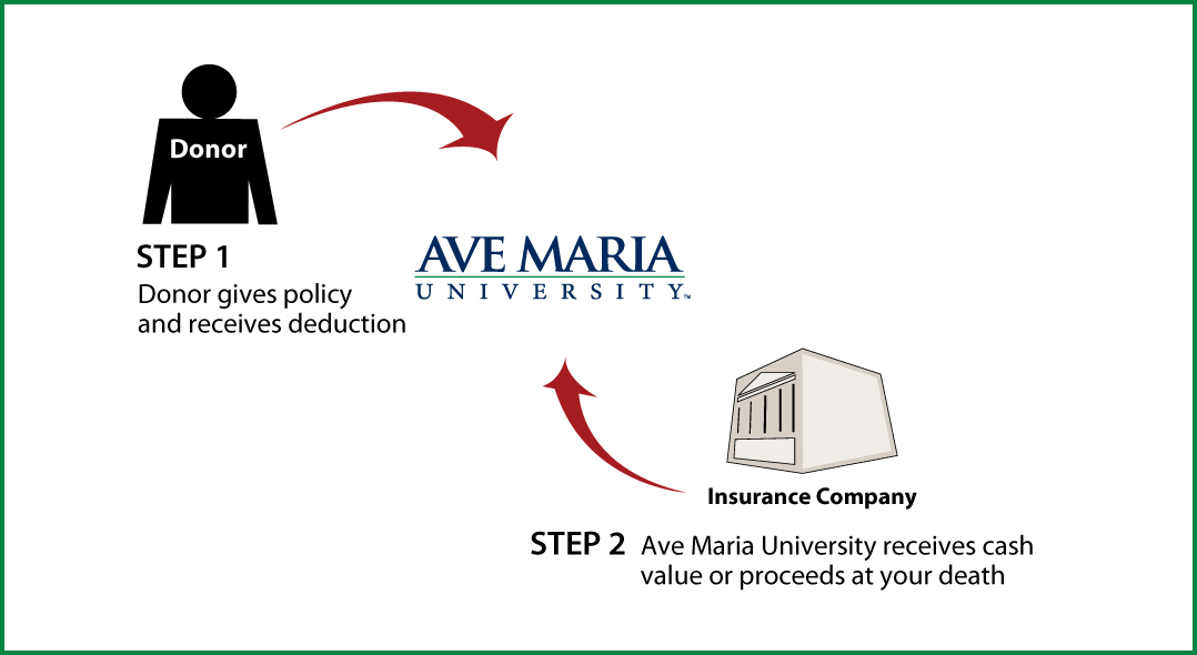 Life Insurance Policy Thumbnail